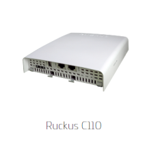 Ruckus C110